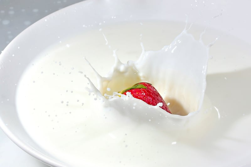 Culinary Tour Image